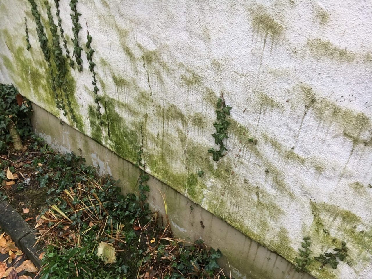 Referenzbild einer Fassadenreinigung